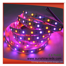 SMD5050 RGBA LED Strip Lamp